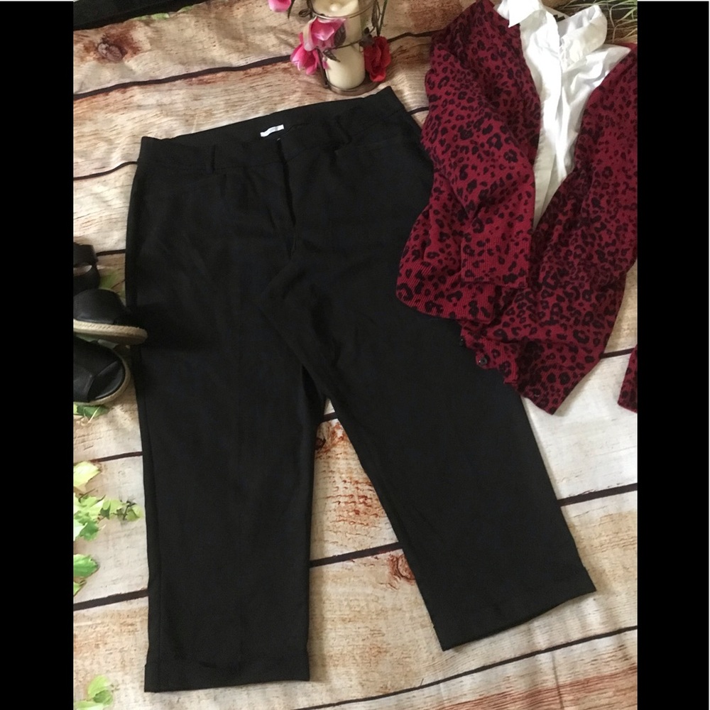 Lane Bryant Crop [the modernist collection]